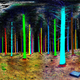 Illustration for article titled This Is What You See When You Scan a Forest With Lasers